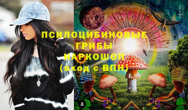 амф Арсеньев