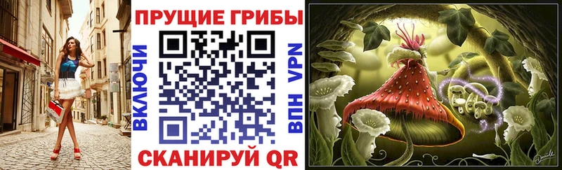 цена mega ONION Галлюциногенные грибы GOLDEN TEACHER Поронайск